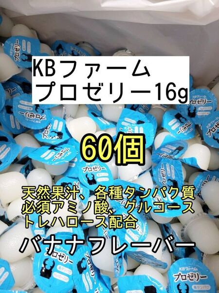 人気昆虫ゼリー KBファーム プロゼリー16g 60個カブトムシ クワガタ ハムスター フクロモモンガ ハリネズミ オオクワガタ デュビア