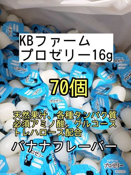 人気昆虫ゼリー KBファーム プロゼリー16g 70個カブトムシ クワガタ ハムスター フクロモモンガ ハリネズミ オオクワガタ デュビア