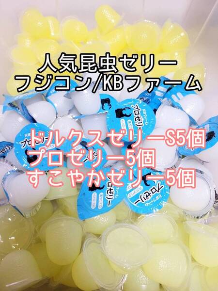 人気昆虫ゼリーセット KBファーム すこやかゼリー プロゼリー フジコン ドルクスゼリー 計15個 カブトムシ クワガタ オオクワ オオクワガタ