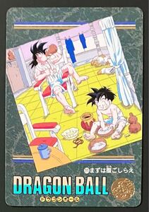 即決 ドラゴンボール カードダス ビジュアルアドベンチャー 95 EX No.271 孫悟空 孫悟飯
