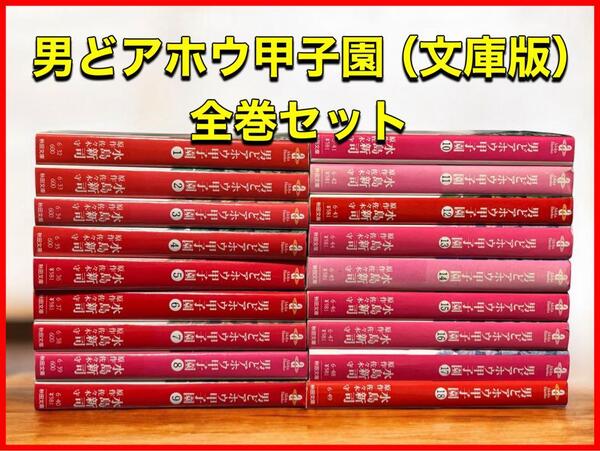 男どアホウ甲子園(文庫版) 全巻セット