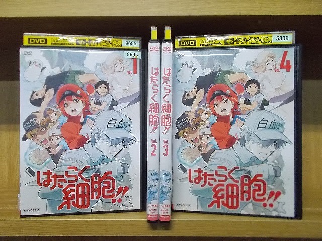 2025年最新】Yahoo!オークション -はたらく細胞 dvdの中古品
