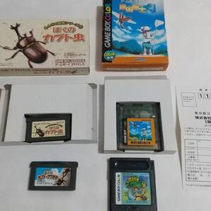 【送料込み】GBA ぼくのカブト虫 ぼくのカブト・クワガタ 昆虫博士2 & 3 簡易消毒済み みんなの飼育シリーズ MTO J-WING