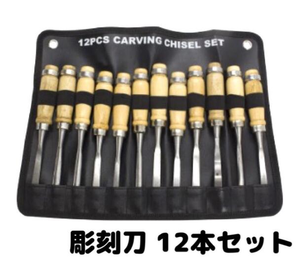 彫刻刀 12本セット ノミ のみ 蚤 木彫り 彫刻 版画 DIY 工具 大工道具