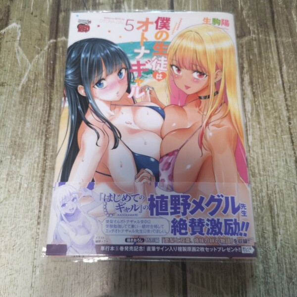 僕の生徒はオトナギャル 5 (チャンピオンREDコミックス) 生駒陽/著 初版!一読商品!同梱割引あり!