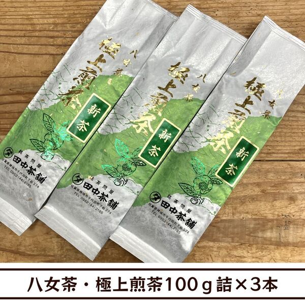 【送料無料】令和7年産新茶!八女茶・極上煎茶100g詰×3本(福岡県産)