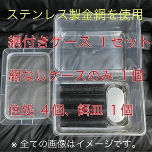 ステンレス金網使用 デュビア コオロギ レッドローチ 飼育ケース 飼育ケージ 中