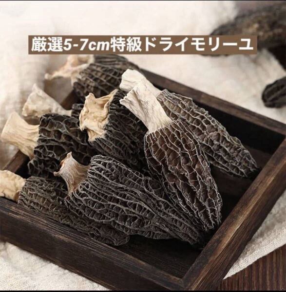 厳選5〜7cm 特級ドライモリーユ50g 乾燥アミガサタケ キノコ 薬膳スープ 珍味