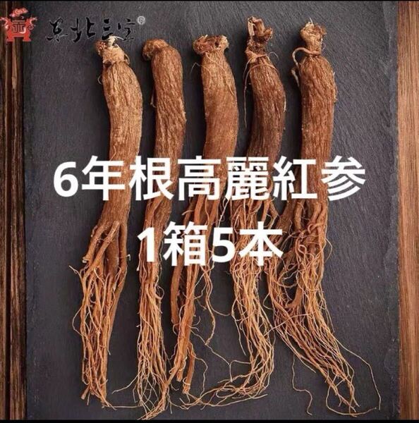 6年根乾燥高麗紅参 5本50g以上♪ 野生環境黒土露地栽培 高麗人参 朝鮮人参 参鶏湯 朝鮮人参酒 蜂蜜漬け朝鮮人参 薬膳スープ