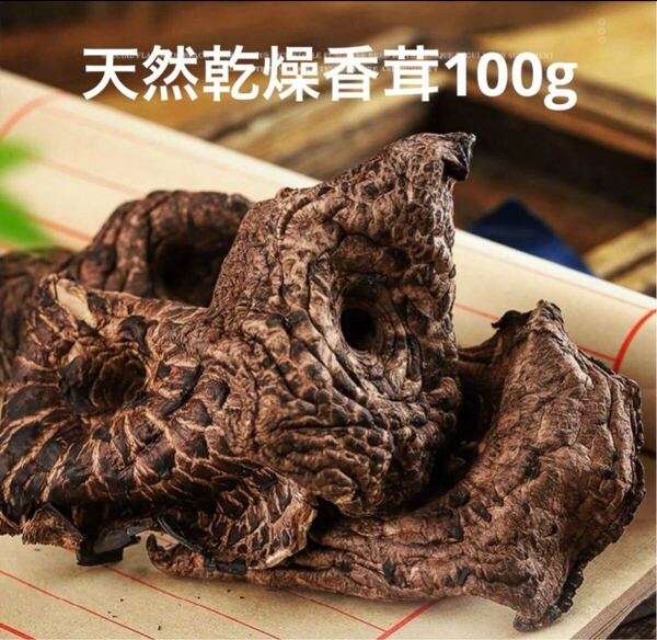 乾燥香茸100g 香り強い!! 黒虎掌菌 革茸 シシタケ いのはな 珍味 高級茸