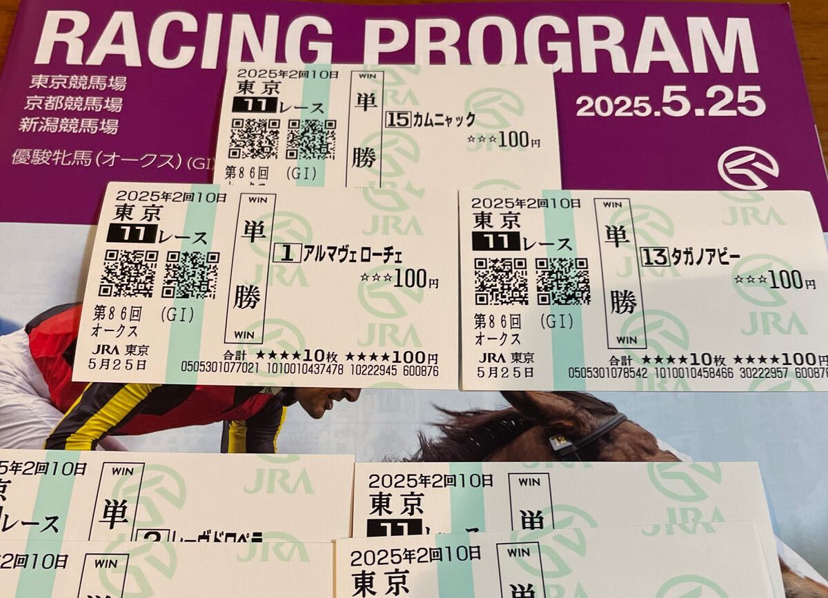 匿名配送 ゴールドシップ 第56回 宝塚記念 現地単勝馬券 ゴルシ