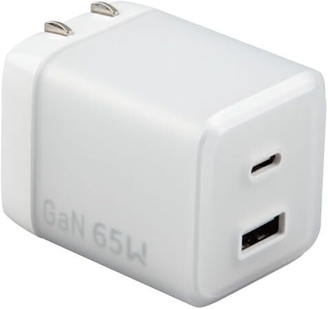 GOLNY 充電器 Type-C USB-A 2ポート 最大PD65W PSE認証品 白 GL-AC65A-AC1-WH 0518