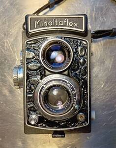 Minoitaflex改(458743)