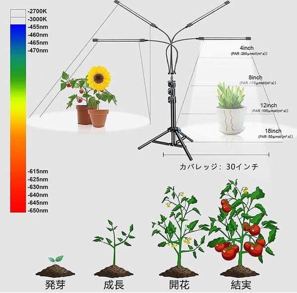機能性重視 LED植物育成ライト、スタンド付き4ヘッドフルスペクトル、80W 8