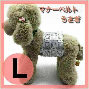 うさぎ L マナーバンド マナーベルト ワンちゃん用 犬 猫 犬服 オムツ