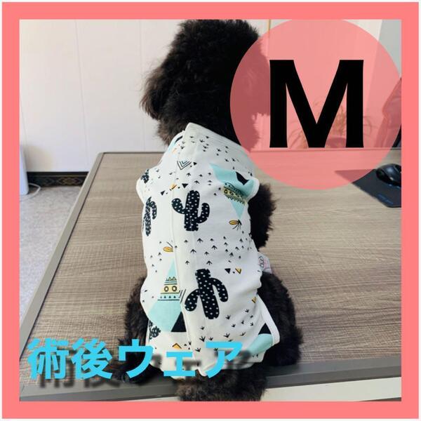 【サボテン柄M】術後ウェア カラー 猫犬 雄雌 傷口保護 去勢 避妊 手術