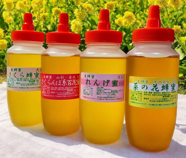 生はちみつ 菜の花 れんげ さくら さくらんぼ百300g4本セット特選 お奨めの生はちみつ 貴重で芳醇な特選4本セット