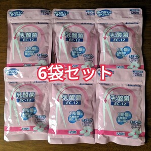 Hisamitsu 乳酸菌 EC-12 チュアブル 120粒6袋
