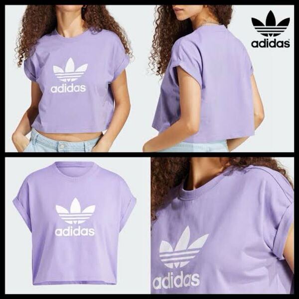 adidas originals クロップド丈Tシャツ ショートスリーブ