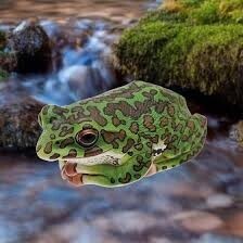 即決 送料無料 日本のいきもの 01 モリアオガエル ネイチャーテクニカラー いきもん ガチャ ガシャポン いきもの大図鑑レプティ