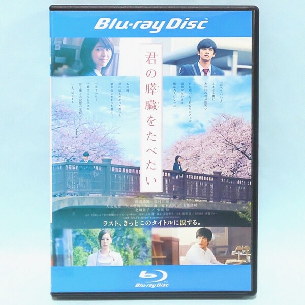 君の膵臓をたべたい レンタル版 ブルーレイ 住野よる 月川翔 浜辺美波 北村匠海 大友花恋 矢本悠馬 桜田通 上地雄輔 北川景子 小栗旬