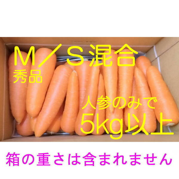 徳島産 秀品 M/S混合 ハウス栽培 人参 5kg以上