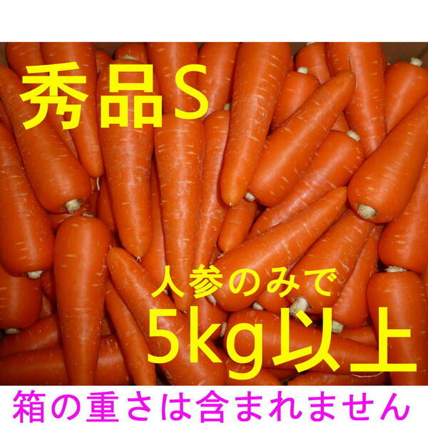徳島産 秀品 Sサイズ ハウス栽培 人参 5kg以上