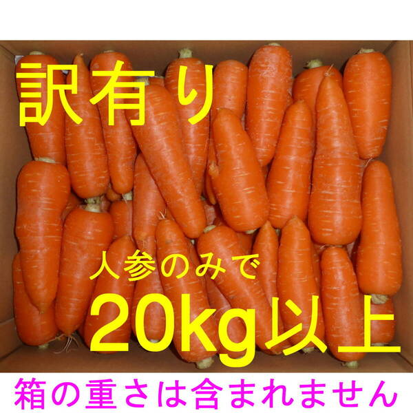 徳島産/ハウス栽培 人参 訳あり品(曲がり・角など) 小さめ(S~M:S多め) 20kg以上