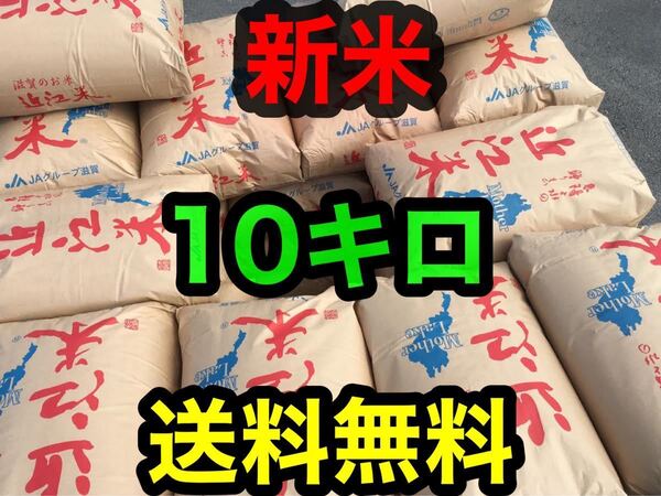●○送料無料●令和5年産●玄米●コシヒカリ 近江米10㎏●滋賀県●減農薬○●