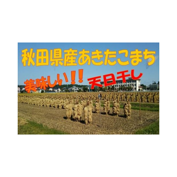農家直送☆令和6年産☆自然乾燥米 秋田県産あきたこまち白米10kg(5kg×2袋)