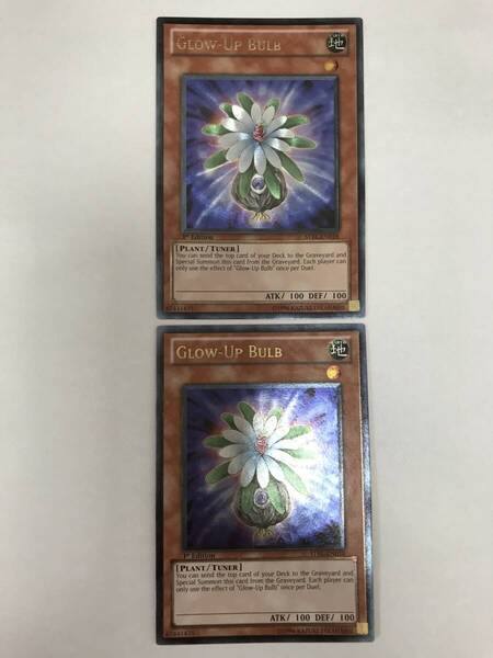 1st STBL-EN018 アルティメットレア グローアップ バルブ 2枚セット 遊戯王 英語 レリーフ