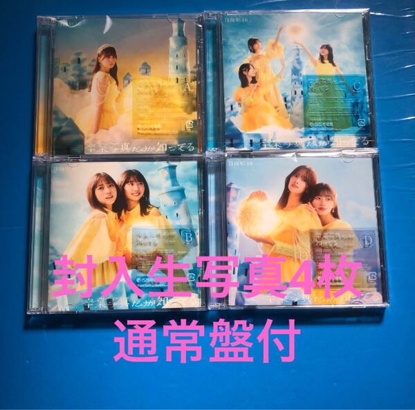 日向坂46 卒業写真だけが知ってる 初回限定盤ABCD 通常盤 CD 5枚セット 封入生写真4枚付 その他おまけ付 12