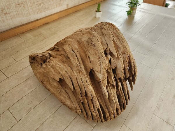 処理済 約42×35センチ流木 60センチ規格水槽 アート インテリア アクアリウム ビバリウム パルダリウム テラリウム No.175