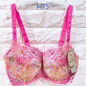 新品 トリンプ プレミアム レッドレーベル0088 ブラジャー H75