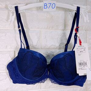 新品 トリンプ プレミアム ゴールドレーベル3041 ブラジャー B70 ブルー系