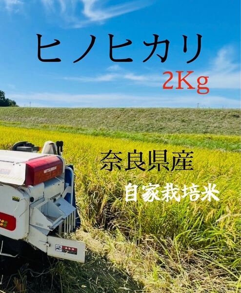 ひのひかり2kg 奈良県産(自家栽培)令和5年収穫 真空パック保管→精米後出荷 ヒノヒカリ お米 ヒノヒカリ 白米