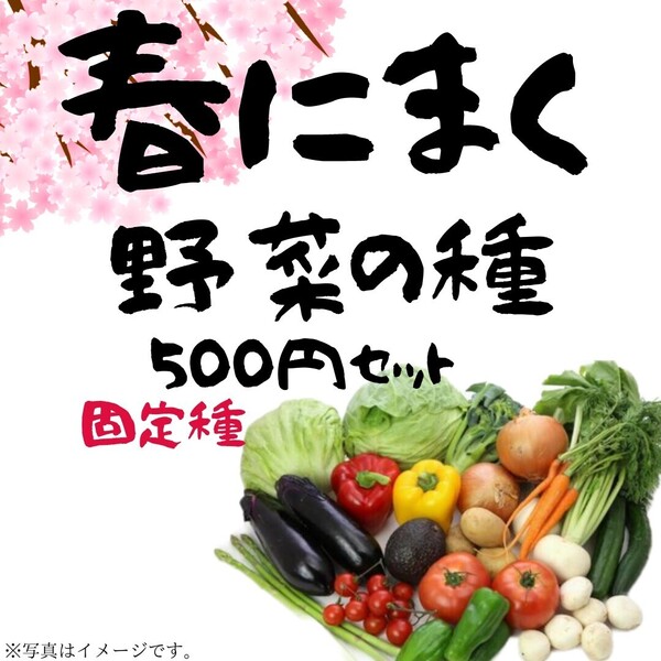 【匿名便】春にまく野菜の種セット 500円【2025年 春】 匿名便で送料の関係のため600円