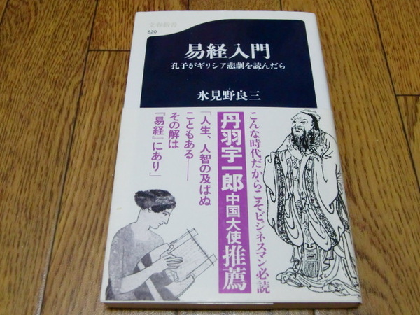易経入門 -孔子がギリシア悲劇を読んだら- 氷見野良三 ●易学・易経・占い・東洋占術・周易・断易・サイコロ占い