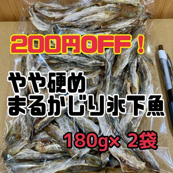 2点セット 珍味 やや硬めまるかじり氷下魚(こまい)北海道根室産
