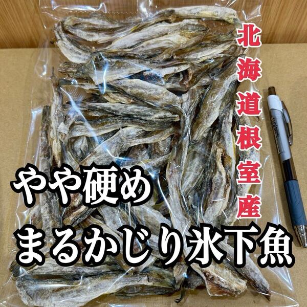 珍味 やや硬めまるかじり氷下魚(こまい)北海道根室産 別名:寒海(かんかい)