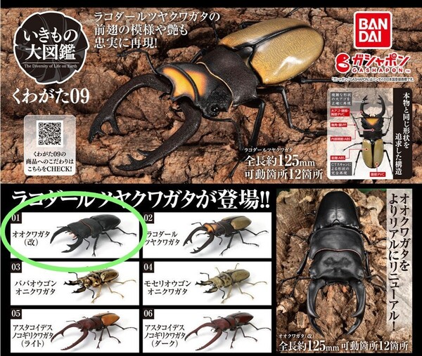 いきもの大図鑑 くわがた09 / オオクワガタ (改) 新品未開封品