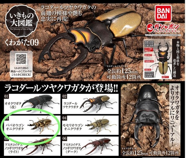 いきもの大図鑑 くわがた09 / ババオウゴンオニクワガタ / 新品未開封品