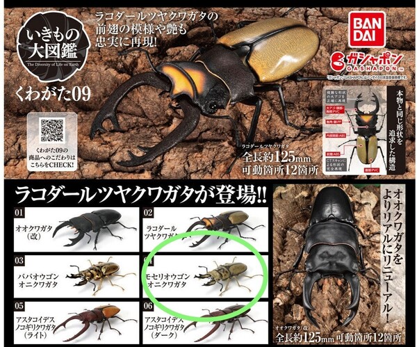いきもの大図鑑 くわがた09 / モセリオウゴンオニクワガタ 新品未開封品