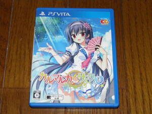 PSVITA カルマルカ・サークル