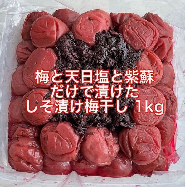 【送料無料】 紀州南高梅 訳あり 梅と天日塩と紫蘇だけで漬けた しそ漬け梅 1kg しそ漬け 梅干し .