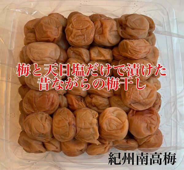LL 紀州南高梅 訳あり 梅と天日塩だけで漬けた梅干し1kg つぶれ梅 白干し