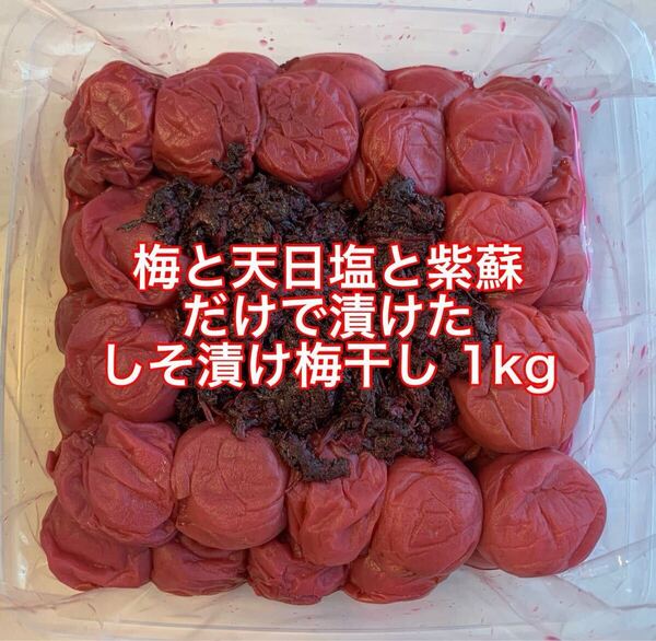 【送料無料】 紀州南高梅 訳あり 梅と天日塩と紫蘇だけで漬けた しそ漬け梅 1kg しそ漬け 梅干し