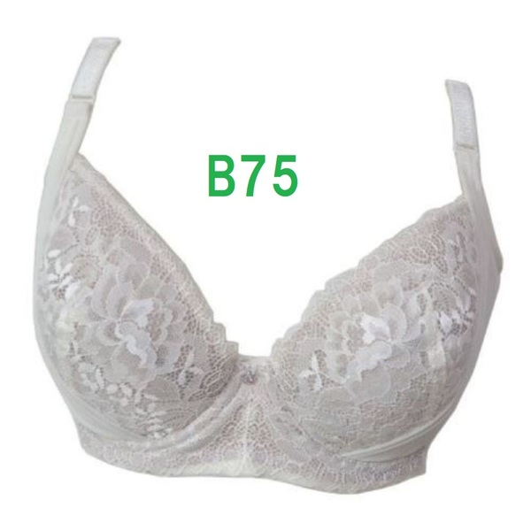 B75・シルクベージュ 脇高ブラジャー(ワイヤー入り) 補正下着 2重リフトアップパネル カップ裏 綿100% 定価:2189円 新品