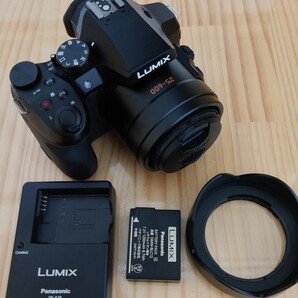★極美品★ Panasonic パナソニック LUMIX ルミックス DMC-FZ300