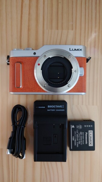 ★極美品★ Panasonic パナソニック LUMIX ルミックス DC-GF10 ミラーレス一眼カメラ